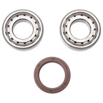 Pro X Crankshaft Bearing and Seal Kit - KTM