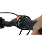 Stacyc 12Edrive Stability Cycle