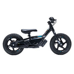 Stacyc 12Edrive Stability Cycle