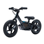 Stacyc 12Edrive Stability Cycle