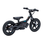 Stacyc 12Edrive Stability Cycle