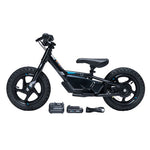 Stacyc 12Edrive Stability Cycle